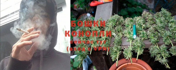 амф Заволжье