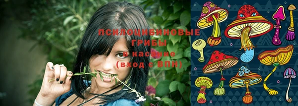 ГАЛЛЮЦИНОГЕННЫЕ ГРИБЫ Зеленокумск