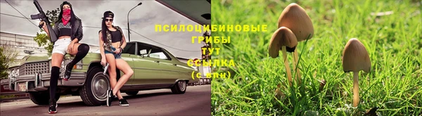 ГАЛЛЮЦИНОГЕННЫЕ ГРИБЫ Зеленокумск