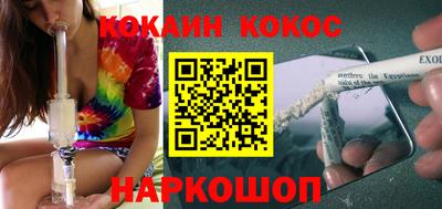 шишки Новодвинск