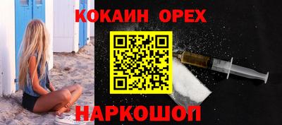 шишки Новодвинск