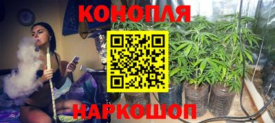 шишки Новодвинск