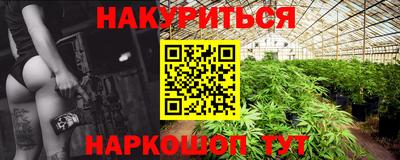 шишки Новодвинск