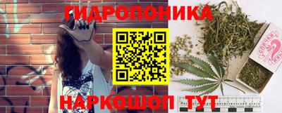стафф Новозыбков