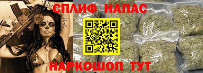 стафф Новозыбков
