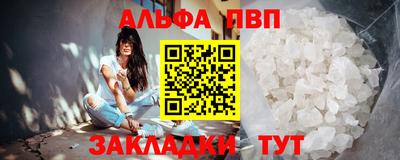 шишки Новодвинск