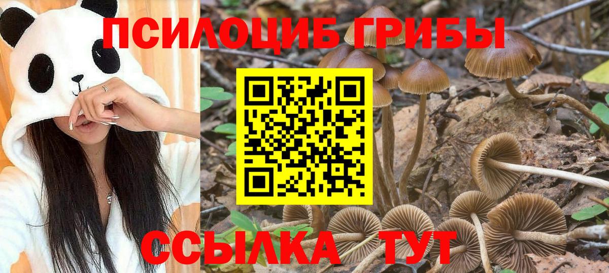 Псилоцибиновые грибы прущие грибы Заринск